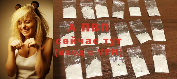 spice Богданович