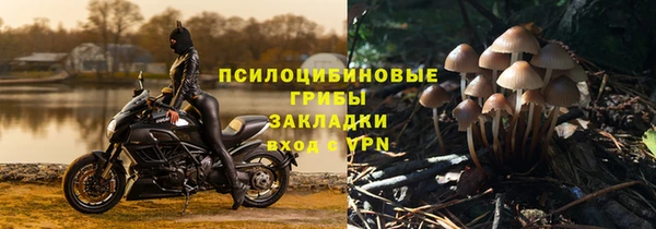 mdpv Бородино